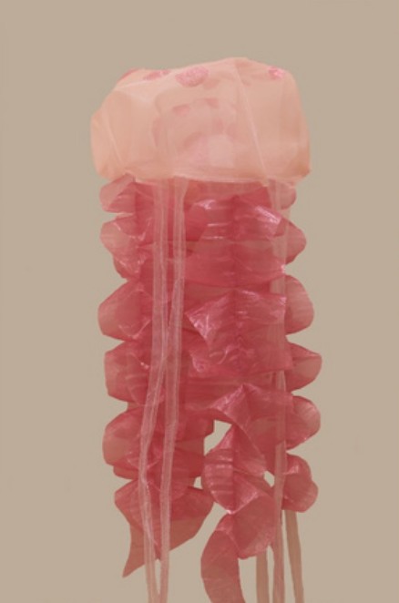 Title: Jellyfish 6 Year: 2019 Mediums: Fabric Size: 29 cm x 117 cm