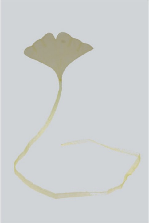 Title: Leaf 3 Year: 2018 Mediums: Fabric Size: 30 cm x 200 cm