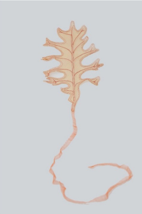 Title: Leaf 4 Year: 2018 Mediums: Fabric Size: 30 cm x 200 cm