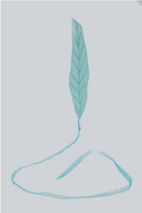 Title: Leaf 5 Year: 2018 Mediums: Fabric Size: 15 cm x 200 cm
