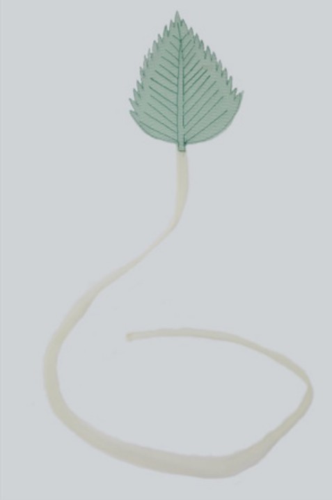 Title: Leaf 6 Year: 2018 Mediums: Fabric Size: 30 cm x 200 cm