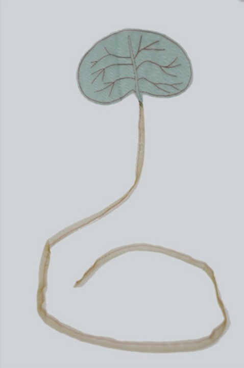 Title: Leaf 7 Year: 2018 Mediums: Fabric Size: 30 cm x 200 cm