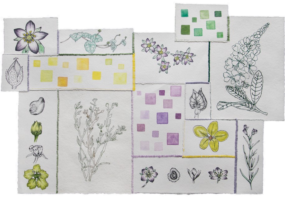 Mahra AlFalahi Title: Undefined boundaries 2 Year: 2024 Mediums: Ink, watercolor and hand sewing on cotton paper Size: 55.5 cm x 38 cm