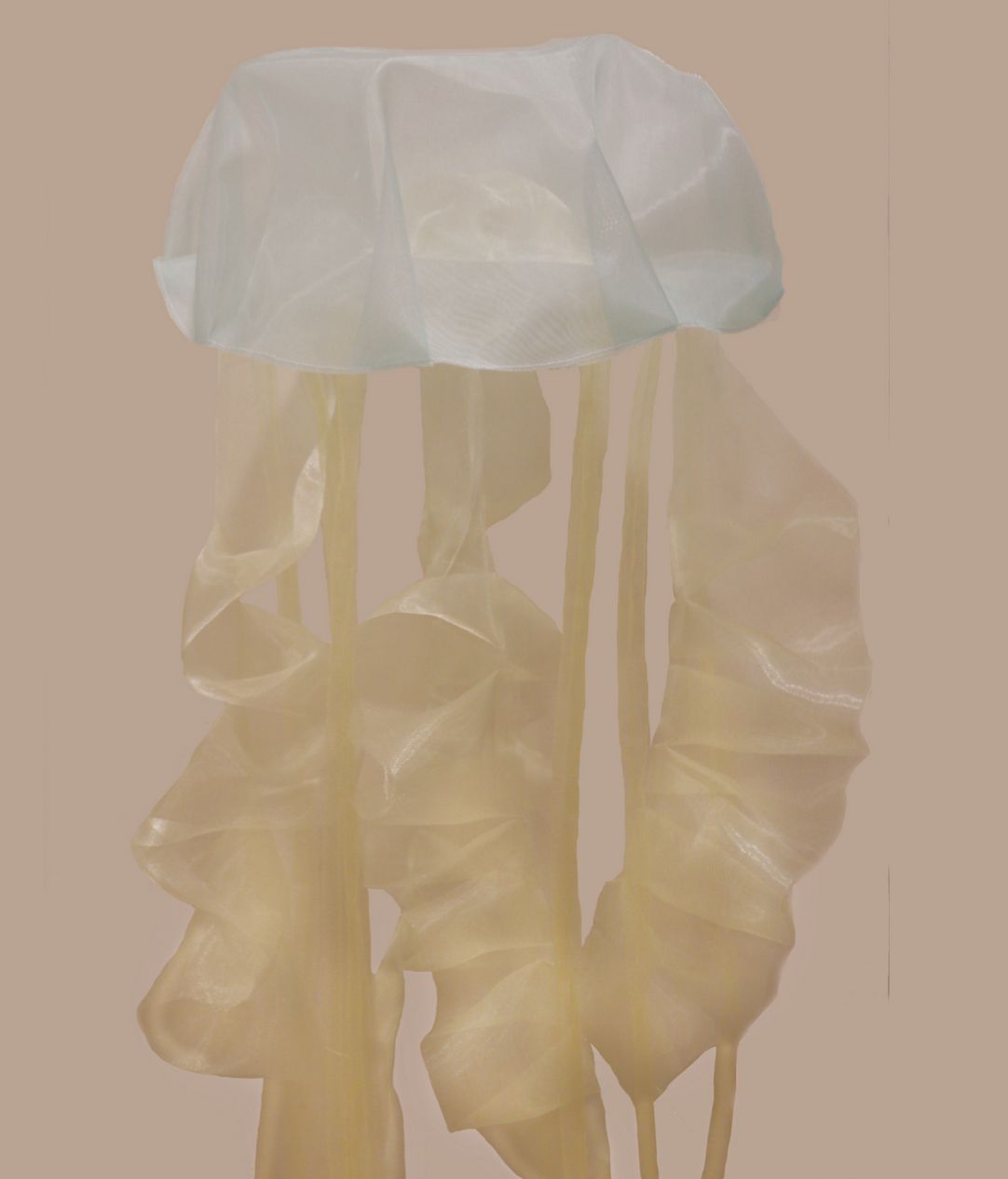Title: Jellyfish 1 Year: 2019 Mediums: Fabric Size: 45 cm x 107 cm