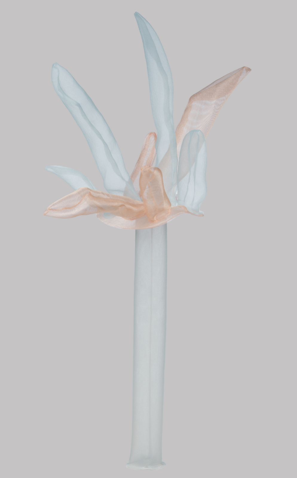 Title: Mushroom 2 Year: 2021 Mediums: Fabric Size: 13 cm x 40 cm
